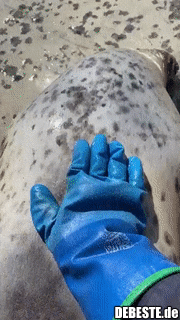 Ja das schaffen wir..