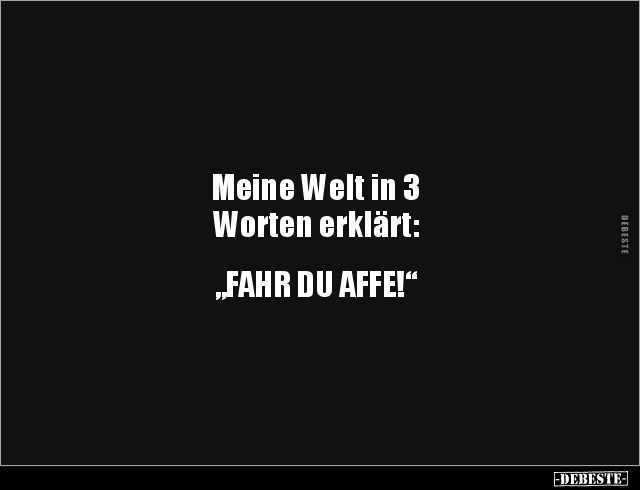 Meine Welt in 3 Worten erklärt: "FAHR DU.." - Lustige Bilder | DEBESTE.de