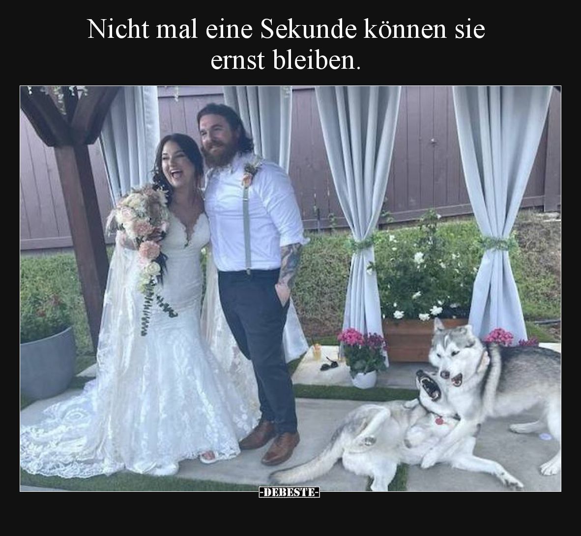 Nicht mal eine Sekunde können sie ernst bleiben.