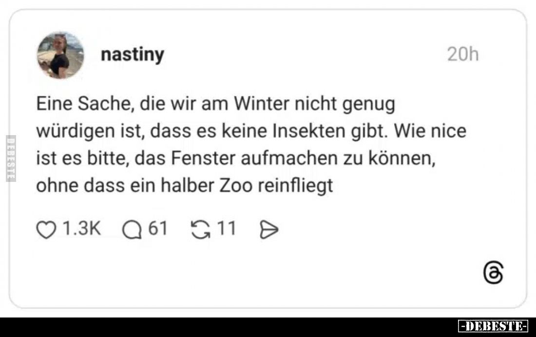 Eine Sache, die wir am Winter nicht genug würdigen ist, dass es keine Insekten gibt. Wie nice ist es bitte, das Fenster aufma...