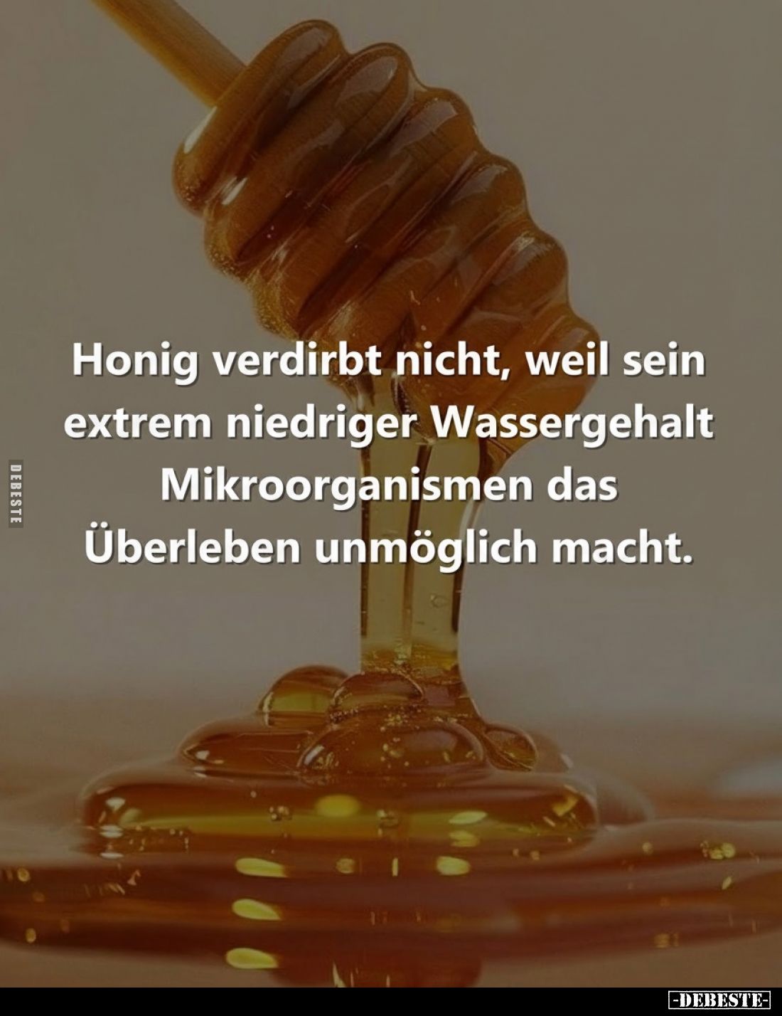 Honig verdirbt nicht, weil sein extrem niedriger Wassergehalt Mikroorganismen das Überleben unmöglich macht.