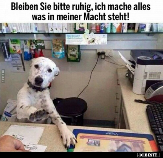 Bleiben Sie bitte ruhig, ich mache alles.. - Lustige Bilder | DEBESTE.de