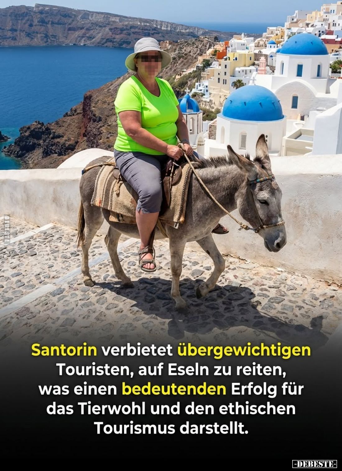 Santorin verbietet übergewichtigen Touristen, auf Eseln zu reiten, was einen bedeutenden Erfolg für das Tierwohl und den ethi...
