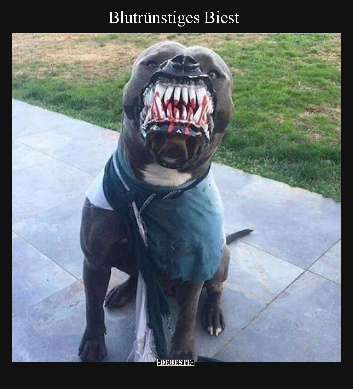 Blutrünstiges Biest