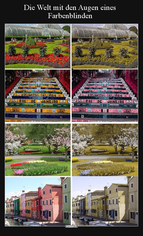 Die Welt mit den Augen eines Farbenblinden..