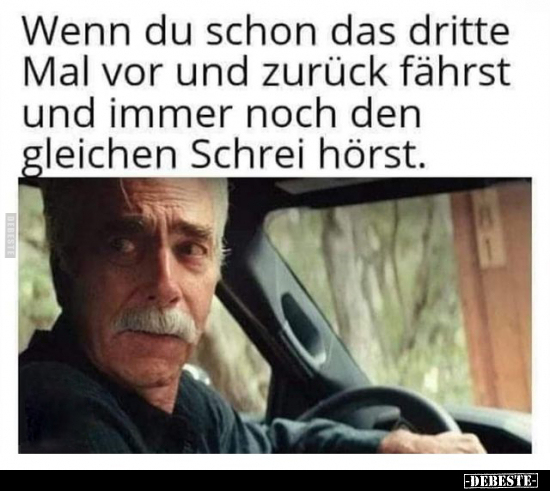 Wenn du schon das dritte Mal vor und zurück fährst und immer noch den gleichen Schrei hörst.