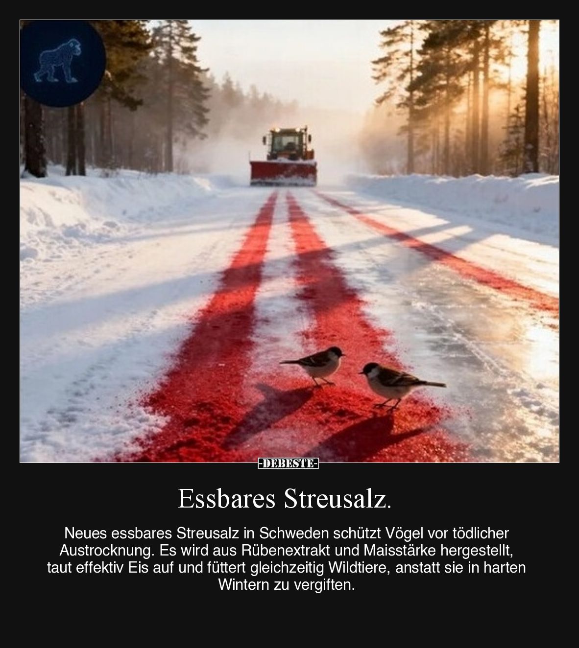 Essbares Streusalz.

Neues essbares Streusalz in Schweden schützt Vögel vor tödlicher Austrocknung. Es wird aus Rübenextrak...