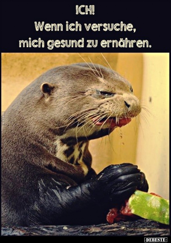 Ich, wenn ich versuche mich gesund zu ernähren... - Lustige Bilder | DEBESTE.de