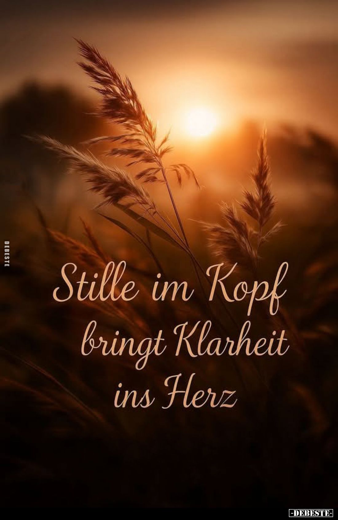 Stille im Kopf bringt Klarheit ins Herz.