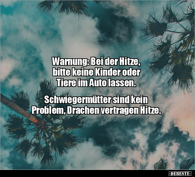 Warnung: Bei der Hitze, bitte keine Kinder oder Tiere im.. - Lustige Bilder | DEBESTE.de