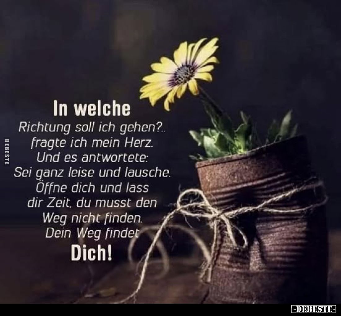 In welche
Richtung soll ich gehen?.. fragte ich mein Herz. Und es antwortete: Sei ganz leise und lausche. Öffne dich und las...