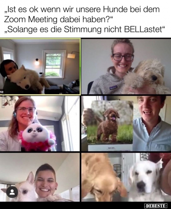 "Ist es ok wenn wir unsere Hunde bei dem Zoom Meeting dabei.." - Lustige Bilder | DEBESTE.de