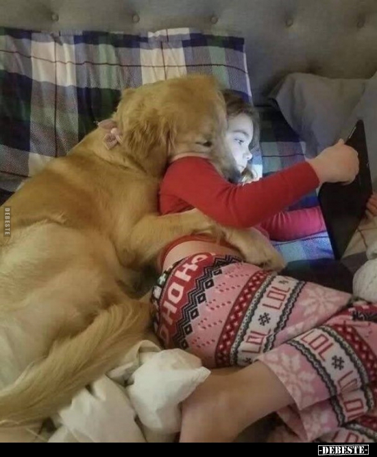  - Lustige Bilder | DEBESTE.de