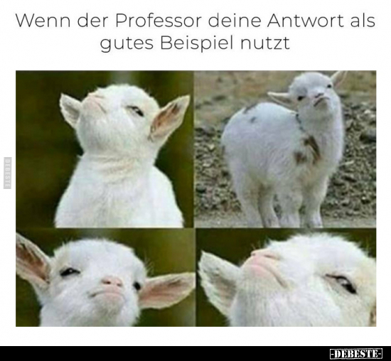 Wenn der Professor deine Antwort.. - Lustige Bilder | DEBESTE.de