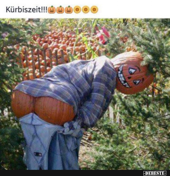 Kürbiszeit!!
