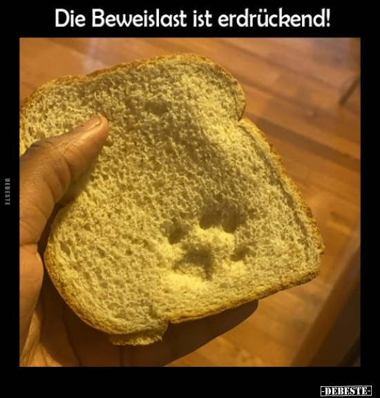 Die Beweislast ist erdrückend!.. - Lustige Bilder | DEBESTE.de