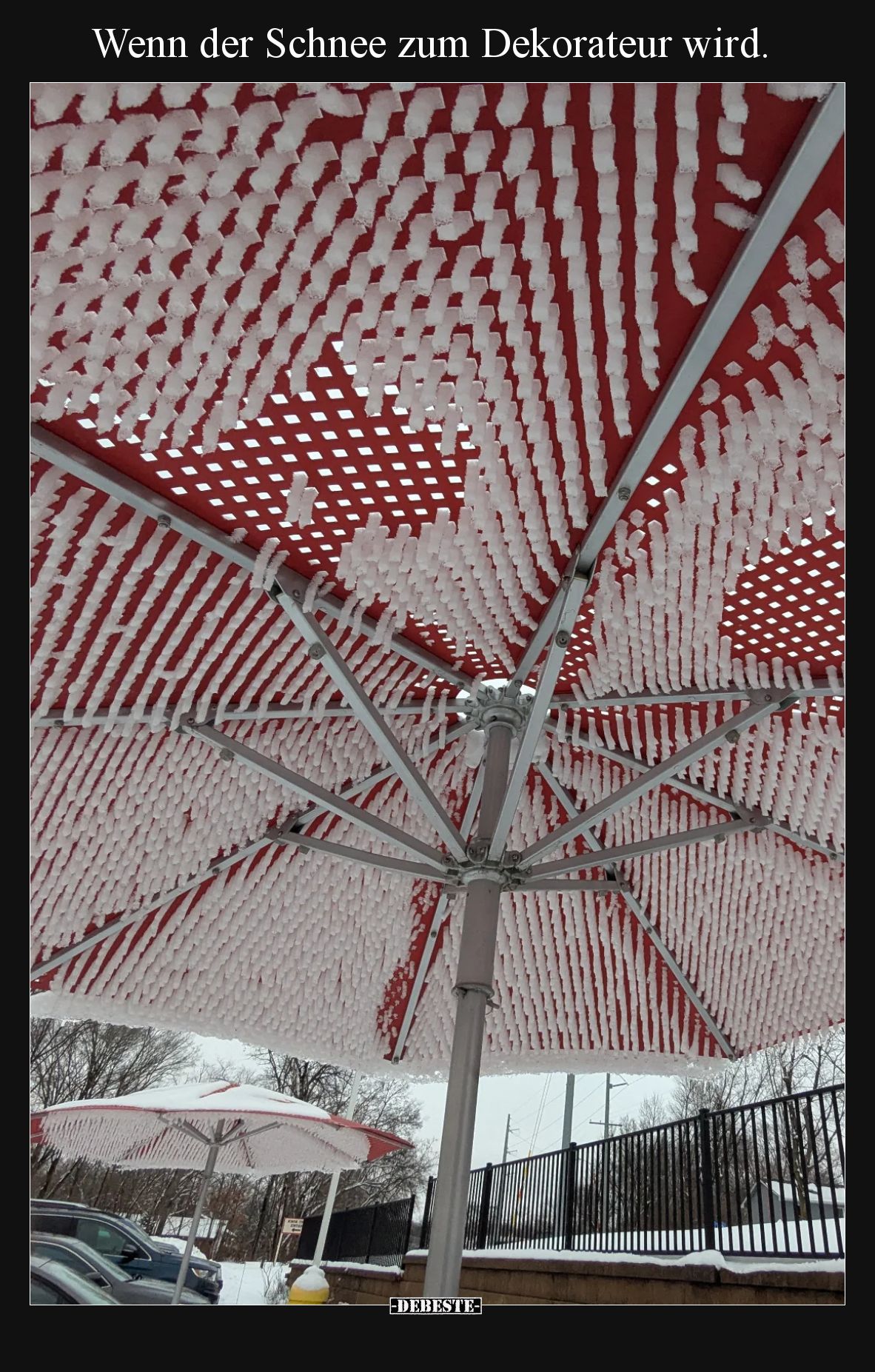 Wenn der Schnee zum Dekorateur wird.