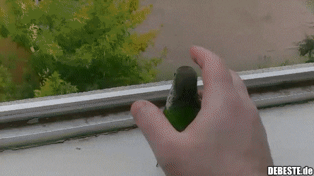  - Lustige Bilder | DEBESTE.de