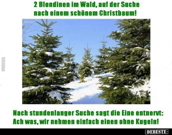 2 Blondinen im Wald auf der Suche nach einem schönen.. - Lustige Bilder | DEBESTE.de