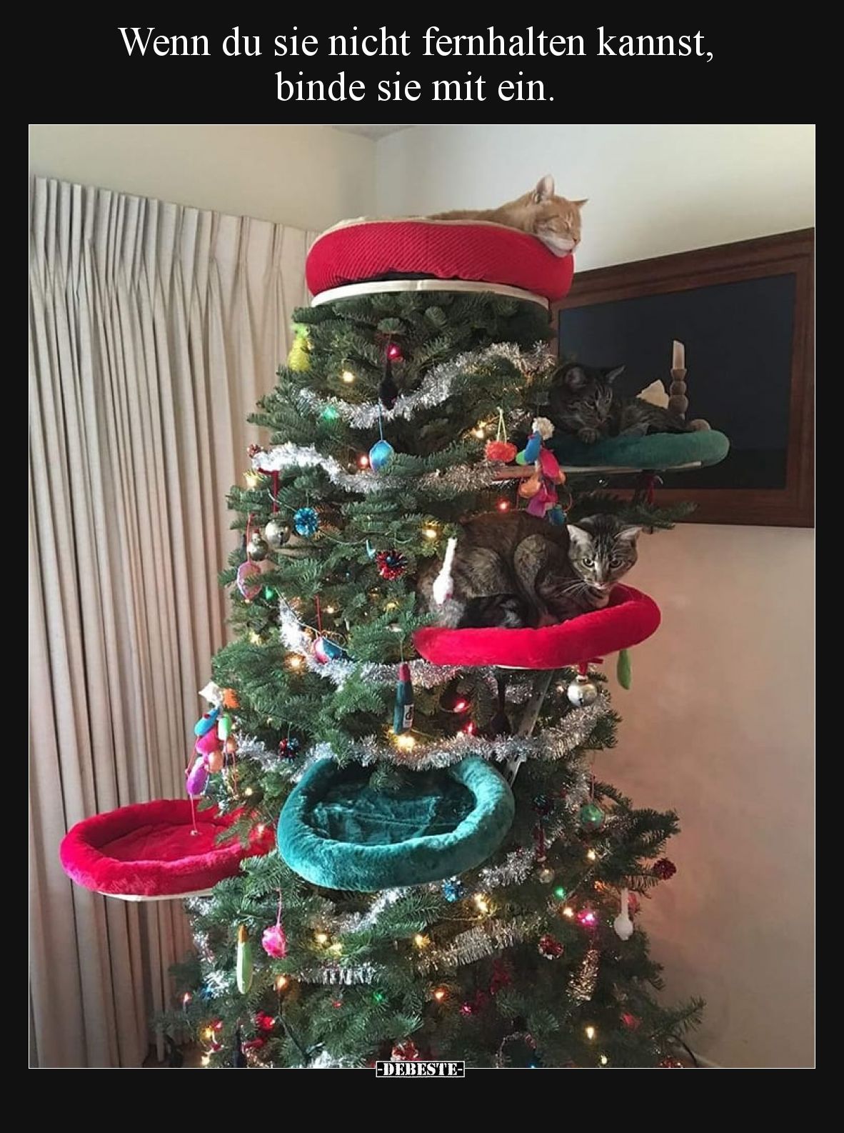 Wenn du sie nicht fernhalten kannst, binde sie mit ein.