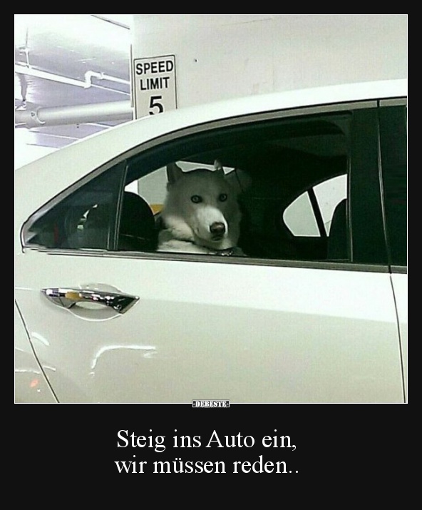 Steig ins Auto ein,  wir müssen reden..