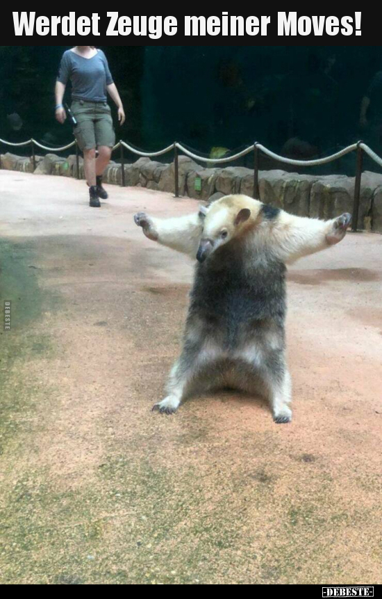Werdet Zeuge meiner Moves!