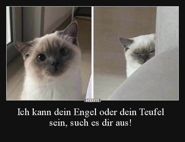 Ich kann dein Engel oder dein Teufel sein, such es dir.. - Lustige Bilder | DEBESTE.de