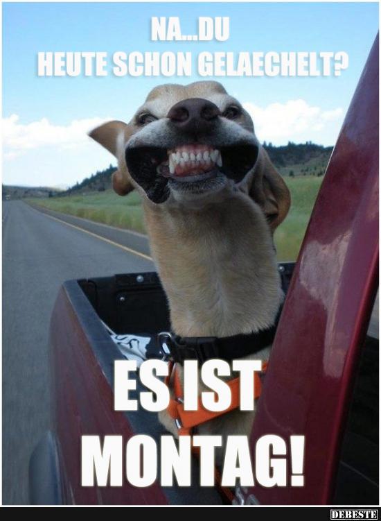 Es ist Montag!! - Lustige Bilder | DEBESTE.de
