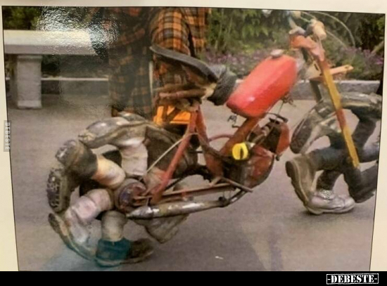  - Lustige Bilder | DEBESTE.de