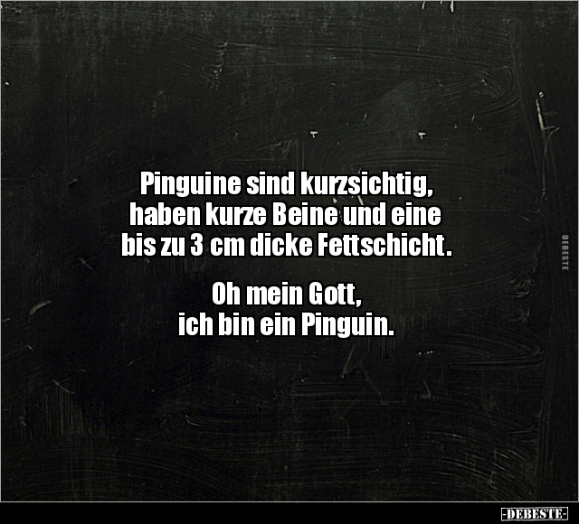 Pinguine sind kurzsichtig.. - Lustige Bilder | DEBESTE.de