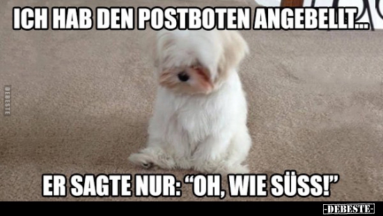 Ich hab den Postboten angebellt...