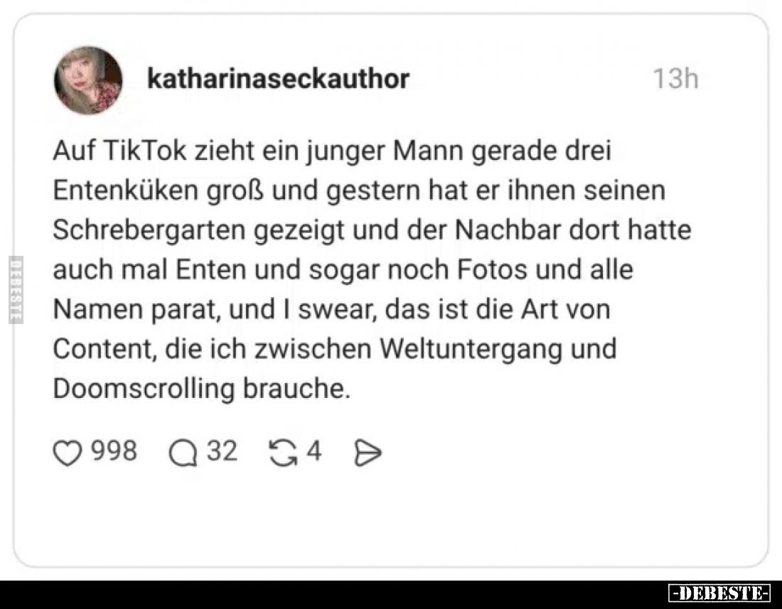 Auf TikTok zieht ein junger Mann gerade drei Entenküken groß und gestern hat er ihnen seinen Schrebergarten gezeigt und der N...