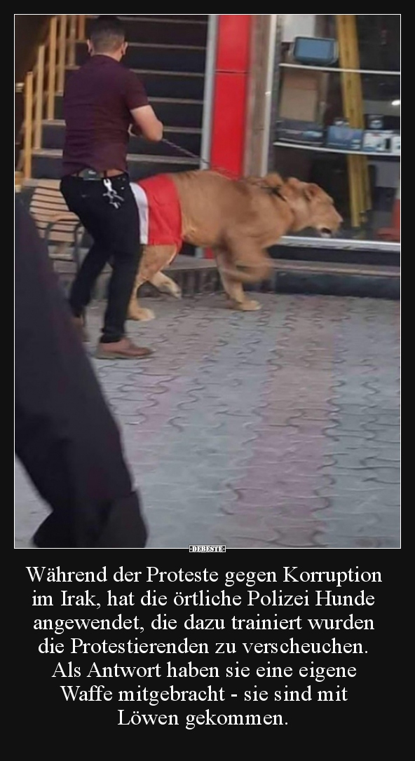 Wahrend Der Proteste Gegen Korruption Im Irak Hat Die Lustige Bilder Spruche Witze Echt Lustig