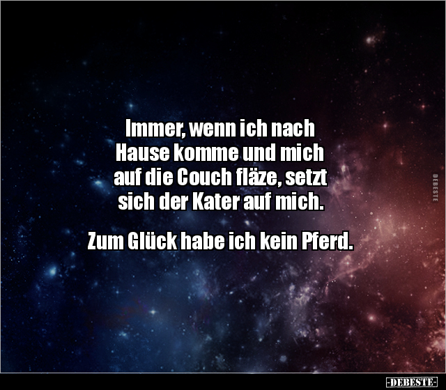 Immer, wenn ich nach Hause komme und mich auf die Couch.. - Lustige Bilder | DEBESTE.de