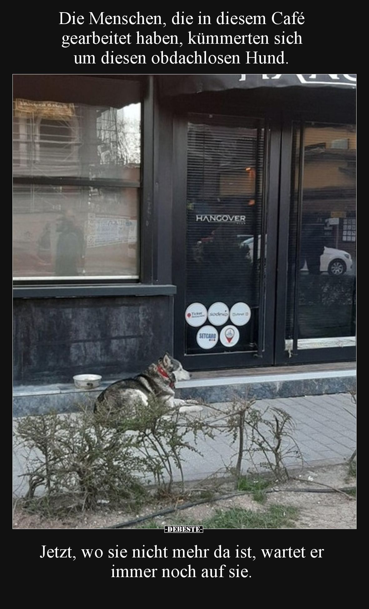 Die Menschen, die in diesem Café gearbeitet haben, kümmerten sich um diesen obdachlosen Hund. Jetzt, wo sie nicht mehr da is...