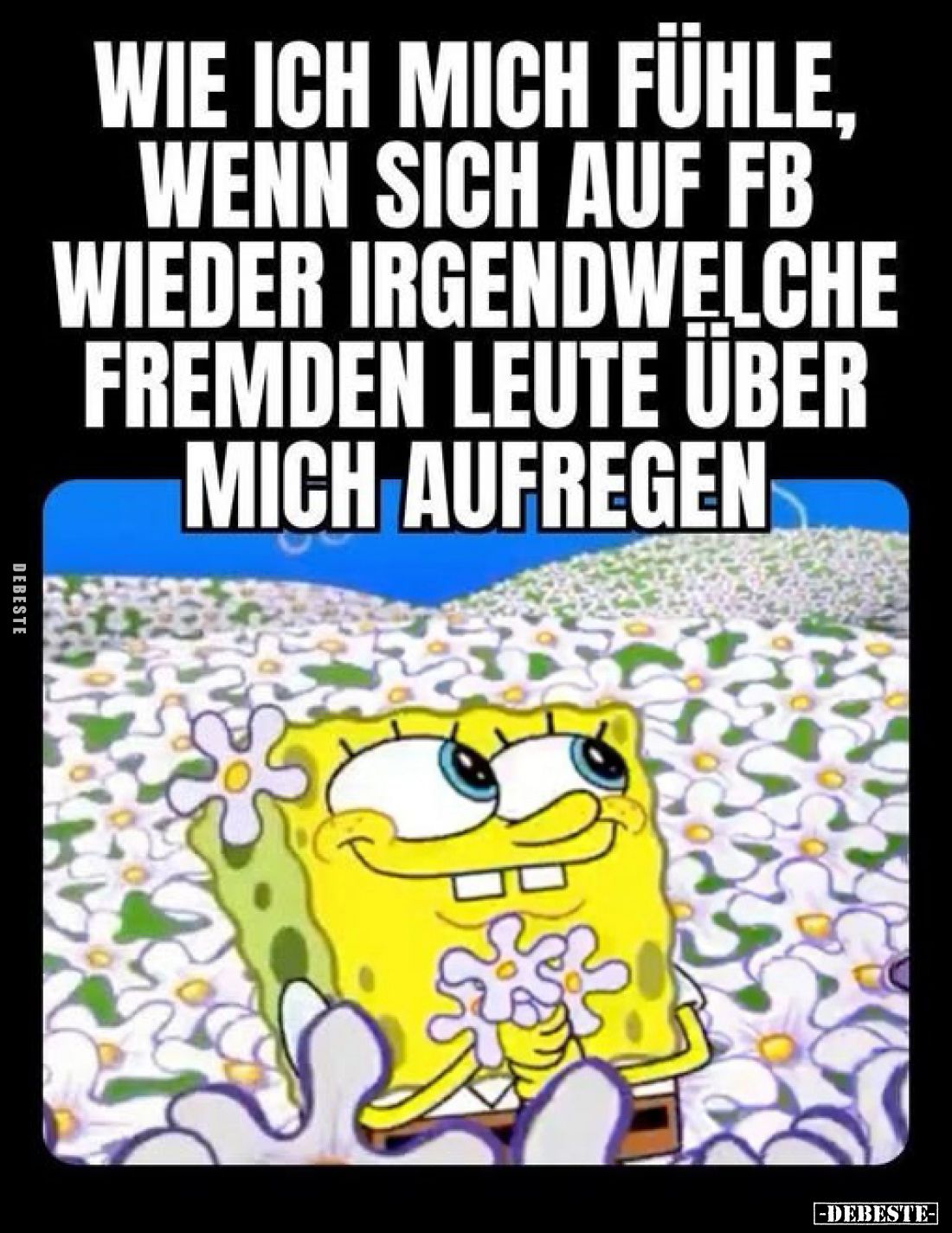 Wie ich mich fühle, wenn sich auf FB wieder irgendwelche fremden Leute über mich aufregen