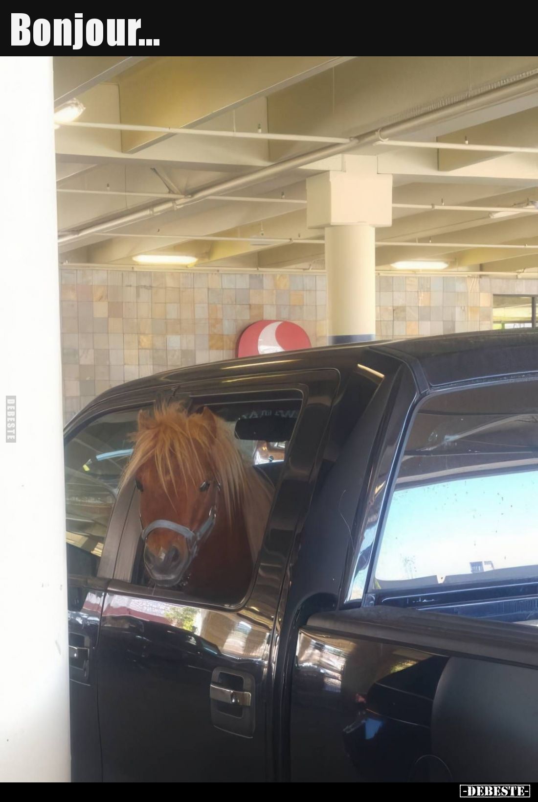 Bonjour... - Lustige Bilder | DEBESTE.de