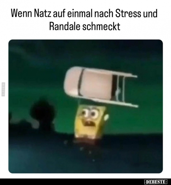 Wenn Natz auf einmal nach Stress und Randale schmeckt.. - Lustige Bilder | DEBESTE.de