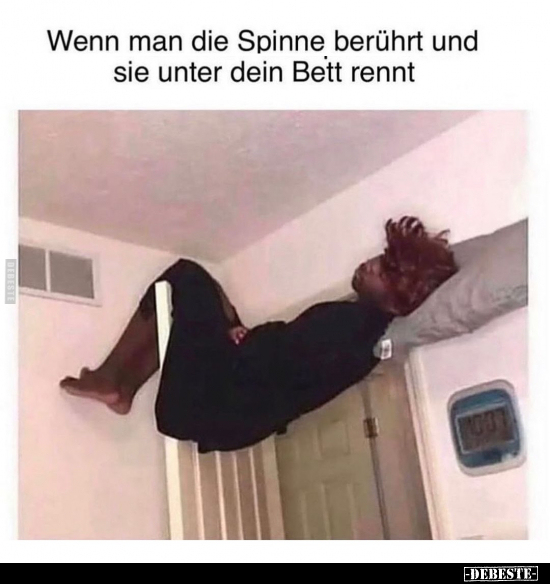 Wenn man die Spinne berührt und sie unter dein Bett.. - Lustige Bilder | DEBESTE.de