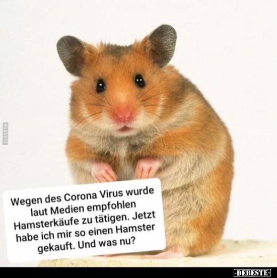 Wegen des Corona Virus wurde laut Medien empfohlen.. - Lustige Bilder | DEBESTE.de
