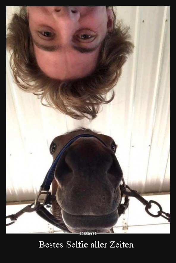 Bestes Selfie aller Zeiten..