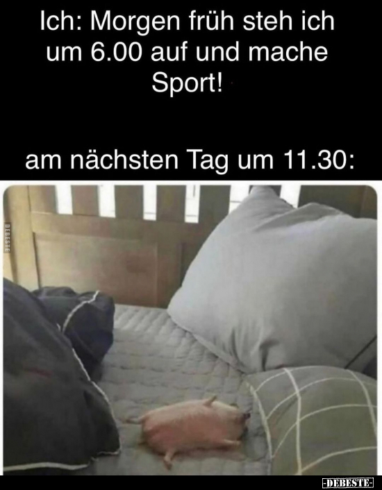 Ich: Morgen früh steh ich um 6.00 auf und mache Sport!.. - Lustige Bilder | DEBESTE.de