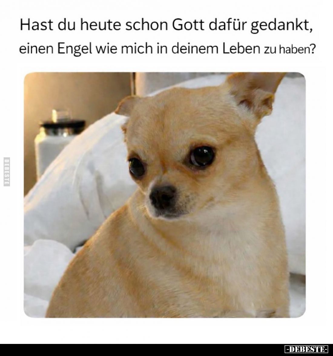 Hast du heute schon Gott dafür gedankt, einen Engel wie mich in deinem Leben zu haben?