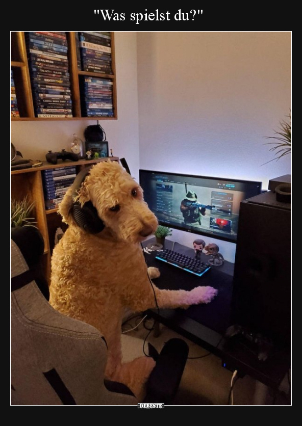 Was spielst du?