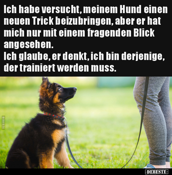 Ich habe versucht, meinem Hund einen neuen Trick.. - Lustige Bilder | DEBESTE.de