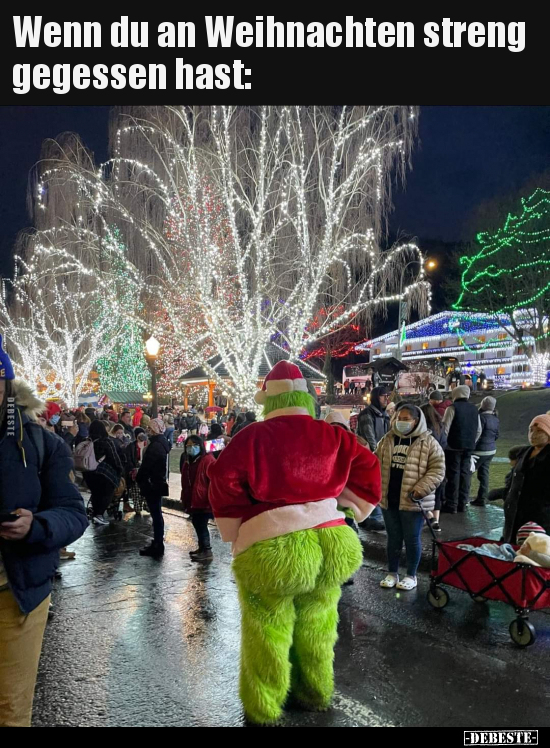 Wenn du an Weihnachten streng gegessen hast.. - Lustige Bilder | DEBESTE.de