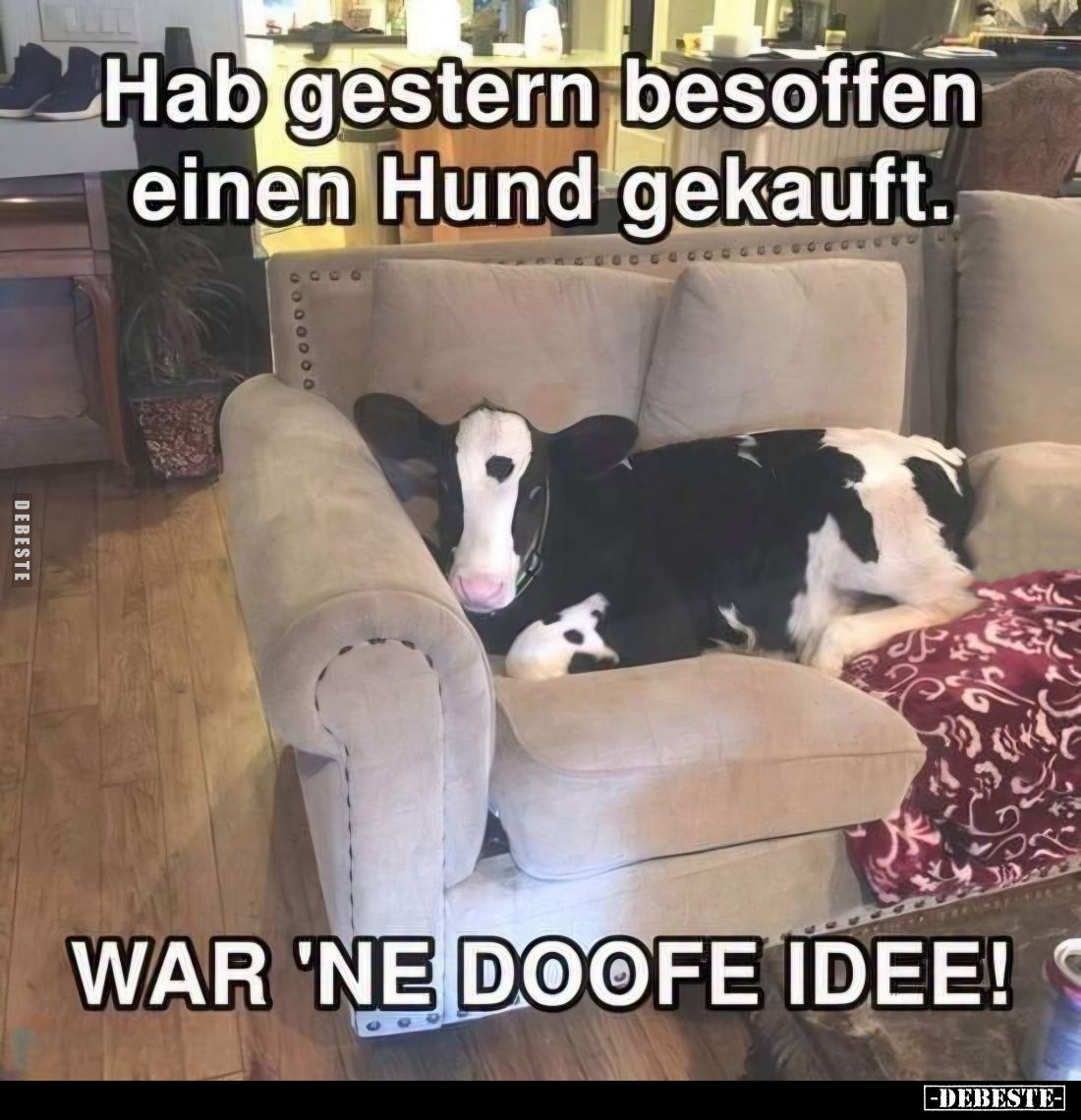 Hab gestern besoffen einen Hund gekauft.
- WAR 'NE DOOFE IDEE!
