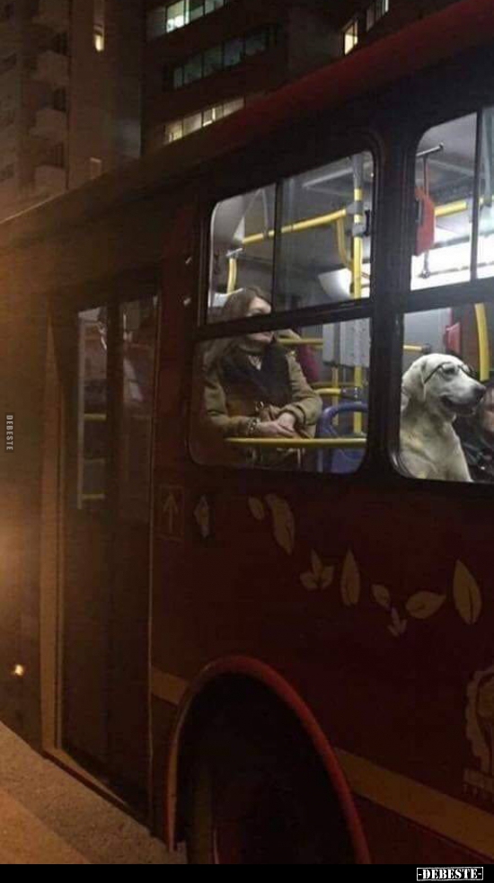  - Lustige Bilder | DEBESTE.de