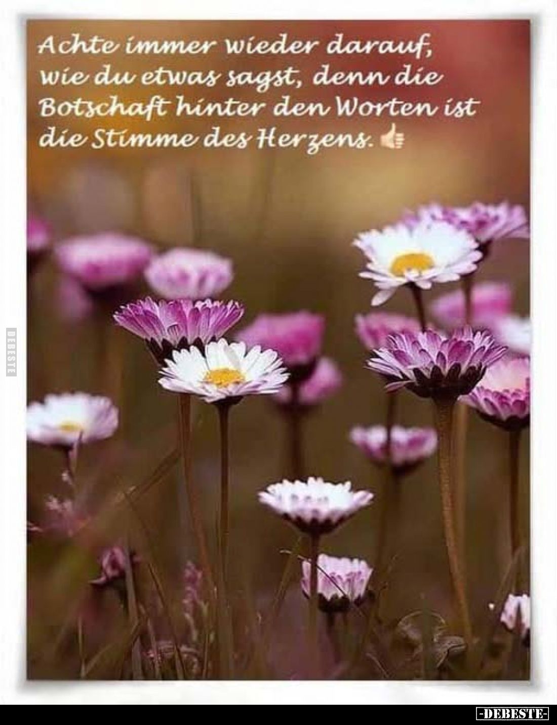 Achte immer wieder darauf, wie du etwas sagst, denn die Botschaft hinter den Worten ist die Stimme des Herzens.