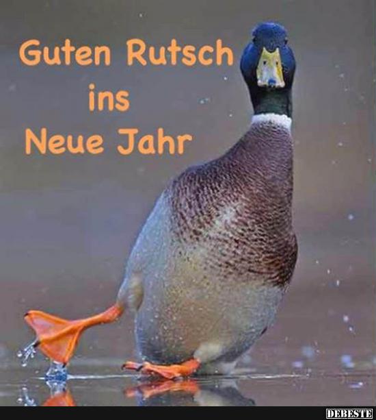 Guten Rutsch ins Neue Jahr! - Lustige Bilder | DEBESTE.de